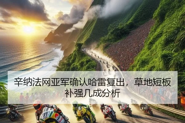 辛纳法网亚军确认哈雷复出，草地短板补强几成分析